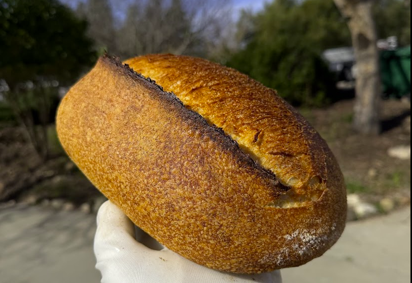 Bake Hot, Steam Short, Color Long